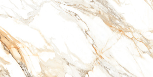 Керамогранит Ceraland Calcatta Paonazzo (60х120) глянец